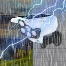 RayCam™ Câmera de Segurança